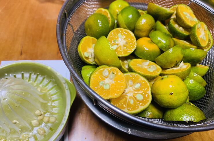 シークワーサー画像